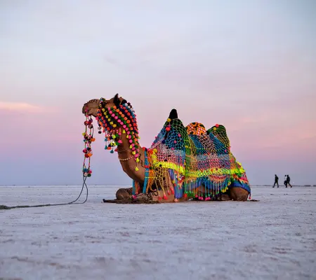 Rann of Kutch